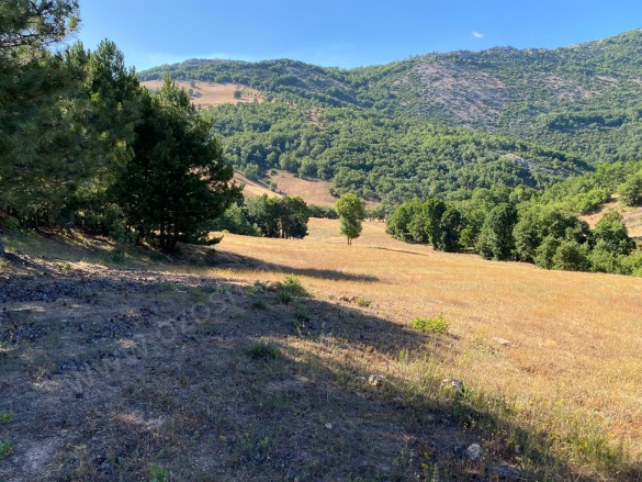 Oğulpaşa Mah-Oğulpaşa Köyü. Osmaneli Satılık Tarla |  3362M2 550.000Tl Resim-1