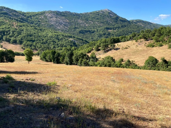 Oğulpaşa Mah-Oğulpaşa Köyü. Osmaneli Satılık Tarla |  3362M2 550.000Tl Resim-2