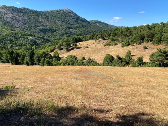 Oğulpaşa Mah-Oğulpaşa Köyü. Osmaneli Satılık Tarla |  3362M2 550.000Tl Resim-3