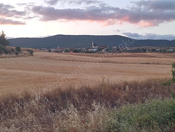 Büyükyenice Köyü Osmaneli Satılık Tarla |  1076M2 750.000Tl Resim-2