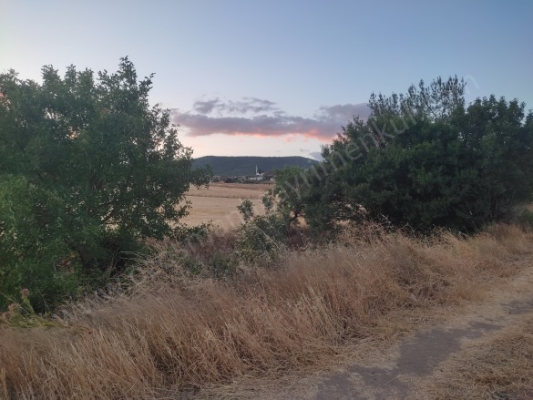 Büyükyenice Köyü Osmaneli Satılık Tarla |  1076M2 750.000Tl Resim-4