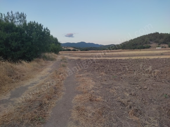 Büyükyenice Köyü Osmaneli Satılık Tarla |  1076M2 750.000Tl Resim-5