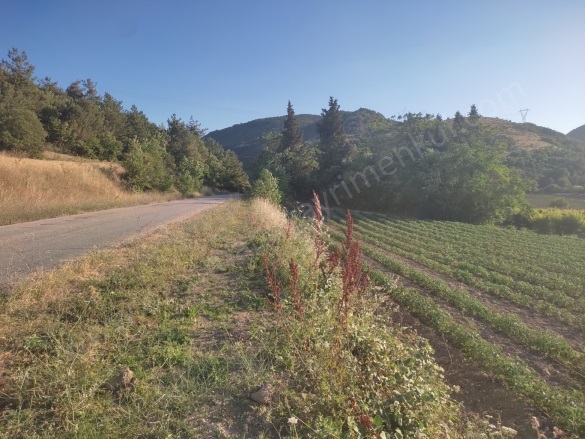 Akçapınar Mah-Akçapınar Köyü. Osmaneli Satılık Tarla |  3386M2 2.300.000Tl Resim-3