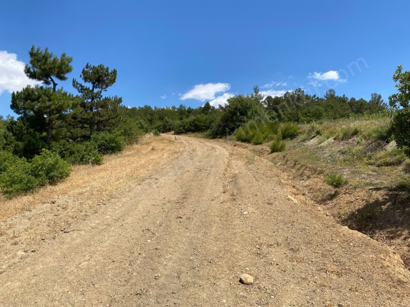 Balçıkhisar Köyü Osmaneli Satılık Tarla |  3328M2 1.050.000Tl Resim-4