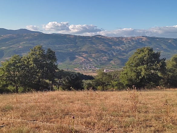 Akçapınar Mah-Akçapınar Köyü. Osmaneli Satılık Tarla |  3105M2 1.400.000Tl Resim-3