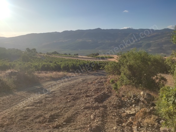 Akçapınar Mah-Akçapınar Köyü. Osmaneli Satılık Tarla |  3105M2 1.400.000Tl Resim-5