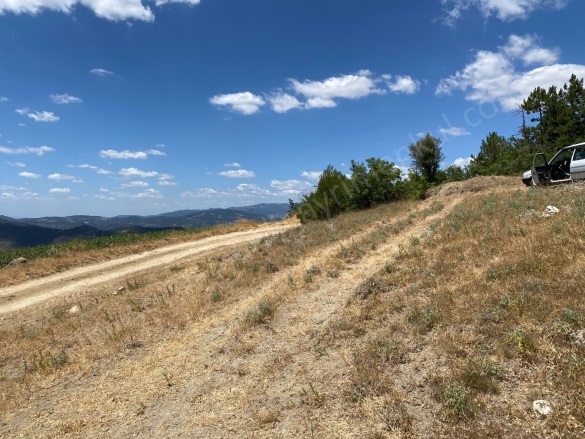 Balçıkhisar Köyü Osmaneli Satılık Tarla |  4787M2 1.300.000Tl Resim-1