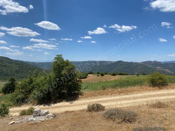 Balçıkhisar Köyü Osmaneli Satılık Tarla |  4787M2 1.300.000Tl Resim-2