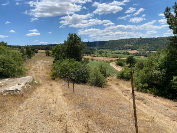 Balçıkhisar Köyü Osmaneli Satılık Tarla |  4787M2 1.300.000Tl Resim-4