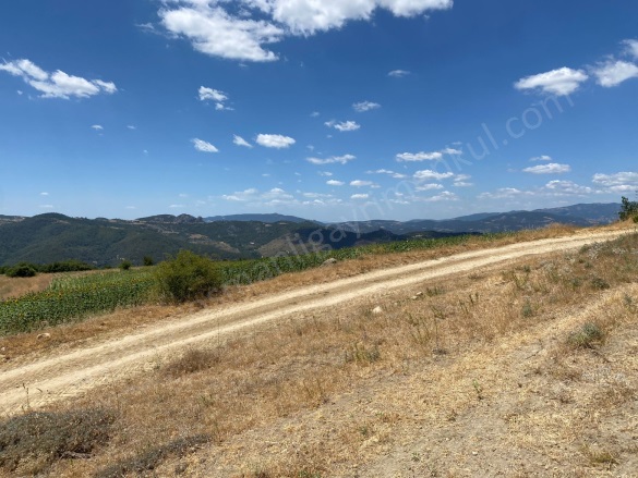 Balçıkhisar Köyü Osmaneli Satılık Tarla |  4787M2 1.300.000Tl Resim-5