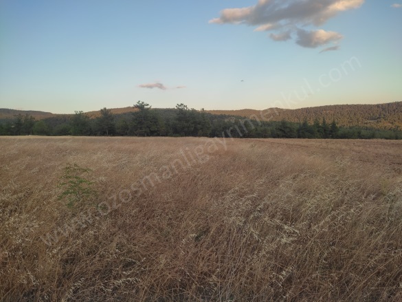 Büyükyenice Köyü Osmaneli Satılık Tarla |  4070M2 1.200.000Tl Resim-1