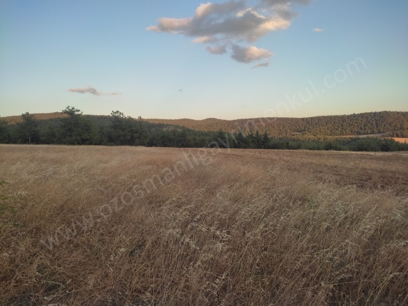 Büyükyenice Köyü Osmaneli Satılık Tarla |  4070M2 1.200.000Tl Resim-2