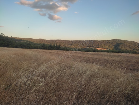 Büyükyenice Köyü Osmaneli Satılık Tarla |  4070M2 1.200.000Tl Resim-3