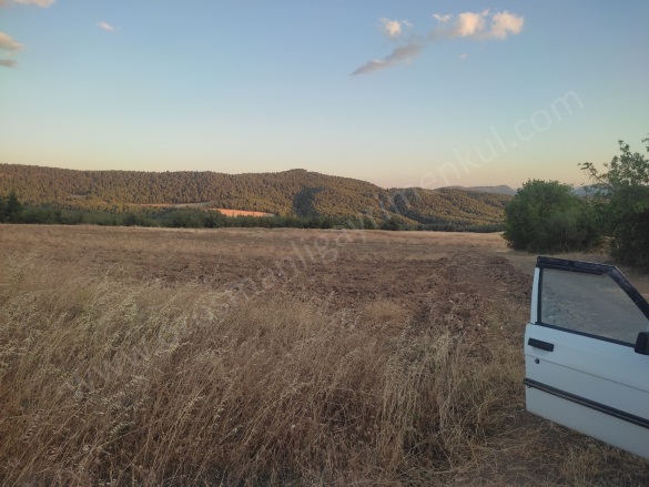 Büyükyenice Köyü Osmaneli Satılık Tarla |  4070M2 1.200.000Tl Resim-4