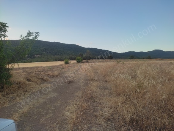 Büyükyenice Köyü Osmaneli Satılık Tarla |  4070M2 1.200.000Tl Resim-5