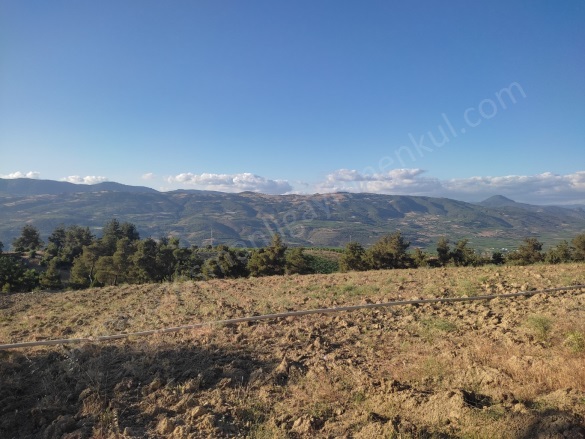 Akçapınar Mah-Akçapınar Köyü. Osmaneli Satılık Tarla |  3386M2 1.350.000Tl Resim-1