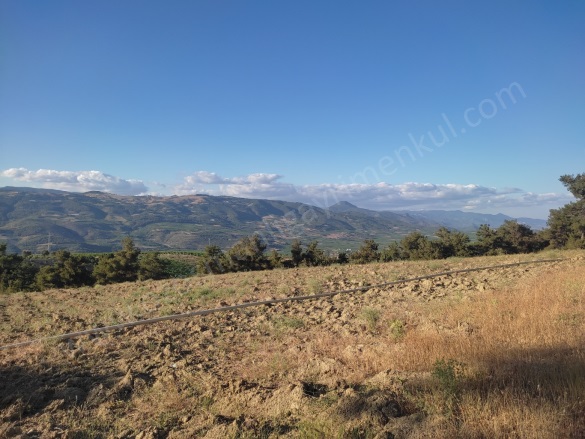 Akçapınar Mah-Akçapınar Köyü. Osmaneli Satılık Tarla |  3386M2 1.350.000Tl Resim-2