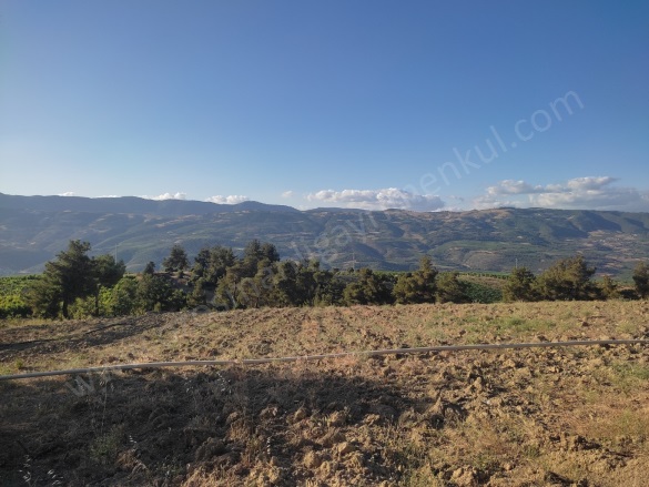 Akçapınar Mah-Akçapınar Köyü. Osmaneli Satılık Tarla |  3386M2 1.350.000Tl Resim-3