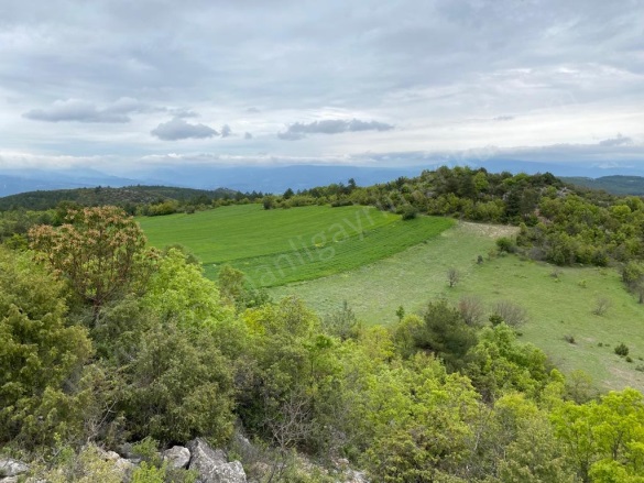 Balçıkhisar Köyü Osmaneli Satılık Tarla |  2767M2 530.000Tl Resim-2