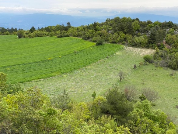 Balçıkhisar Köyü Osmaneli Satılık Tarla |  2767M2 530.000Tl Resim-4