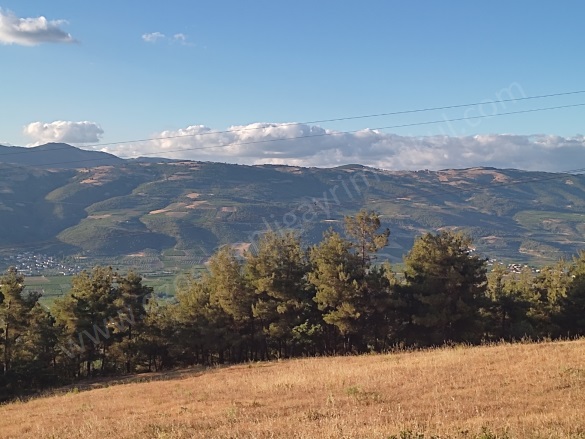 Bereket Köyü Osmaneli Satılık Tarla |  22753M2 6.500.000Tl Resim-1