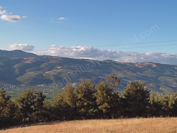 Bereket Köyü Osmaneli Satılık Tarla |  22753M2 6.500.000Tl Resim-4