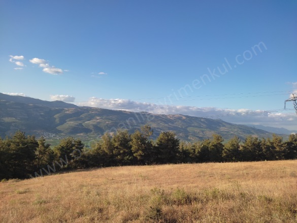 Bereket Köyü Osmaneli Satılık Tarla |  22753M2 6.500.000Tl Resim-5