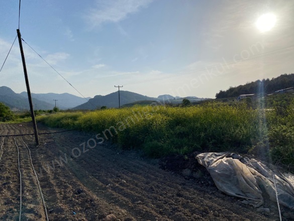 Camicedit Mah. Osmaneli Satılık Tarla |  1225M2 1.350.000Tl Resim-3