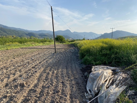 Camicedit Mah. Osmaneli Satılık Tarla |  1225M2 1.350.000Tl Resim-5