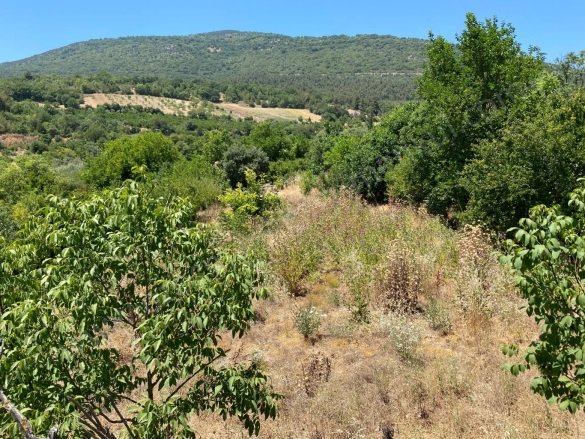 Avdan Köyü Osmaneli Satılık Tarla |  930M2 700.000Tl Resim-3