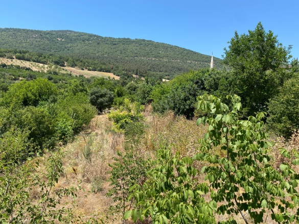 Avdan Köyü Osmaneli Satılık Tarla |  930M2 700.000Tl Resim-4