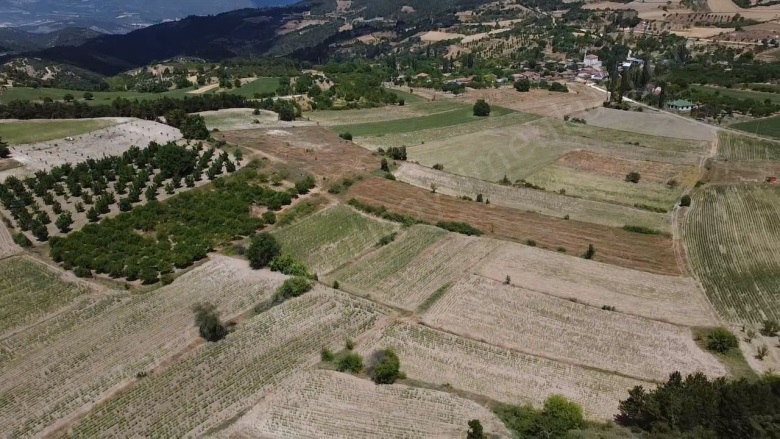 Balçıkhisar Köyü Osmaneli Satılık Tarla |  3718M2 850.000Tl Resim-2