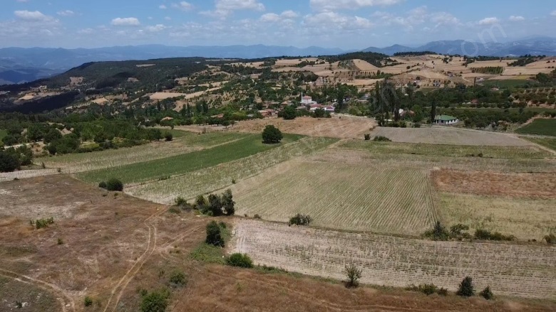 Balçıkhisar Köyü Osmaneli Satılık Tarla |  3718M2 8.500.003.718Tl Resim-3