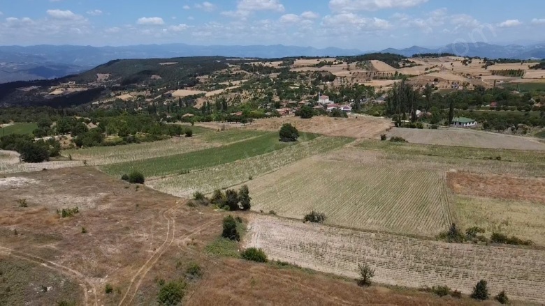 Balçıkhisar Köyü Osmaneli Satılık Tarla |  3718M2 8.500.003.718Tl Resim-4