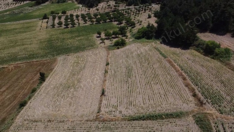 Balçıkhisar Köyü Osmaneli Satılık Tarla |  3718M2 850.000Tl Resim-5