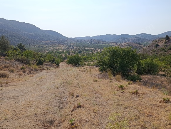 Hamitabat Köyü Söğüt Satılık Tarla |  2468M2 200.000Tl Resim-3