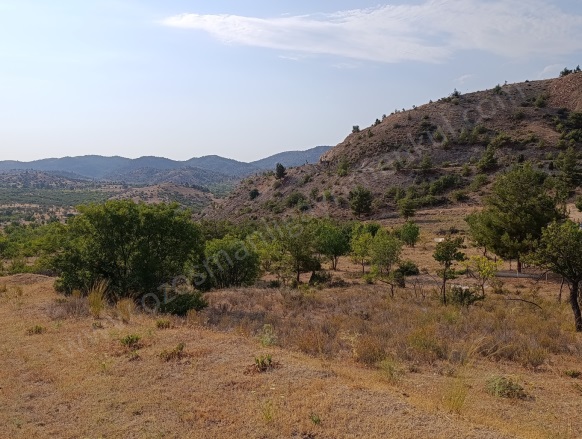 Hamitabat Köyü Söğüt Satılık Tarla |  2468M2 200.000Tl Resim-4