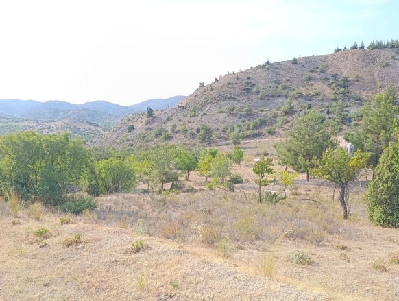 Hamitabat Köyü Söğüt Satılık Tarla |  2468M2 200.000Tl Resim-5