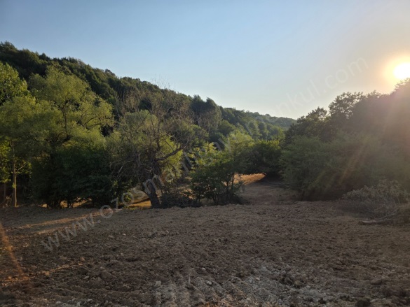 Hayriye Köyü Söğüt Satılık Tarla |  13151M2 1.600.000Tl Resim-1