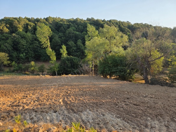 Hayriye Köyü Söğüt Satılık Tarla |  13151M2 1.600.000Tl Resim-3