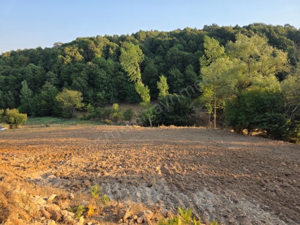 Hayriye Köyü Söğüt Satılık Tarla |  13151M2 1.600.000Tl Resim-4