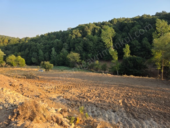 Hayriye Köyü Söğüt Satılık Tarla |  13151M2 1.600.000Tl Resim-5