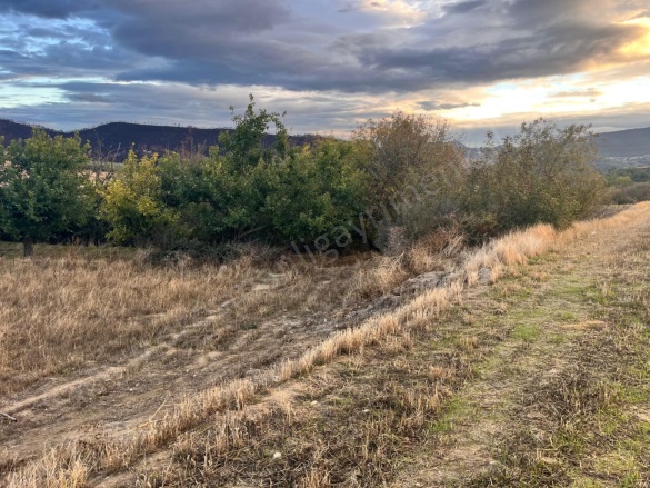 Büyükyenice Köyü Osmaneli Satılık Arsa |  600M2 1.200.000Tl Resim-3