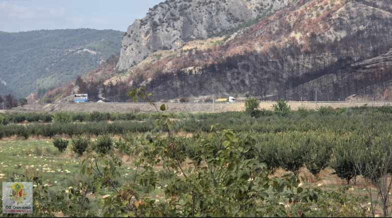 Selçikte Köye Merkeze Yakın Acil Satılık Tarla Arazi Osmaneli Selçik Köyü