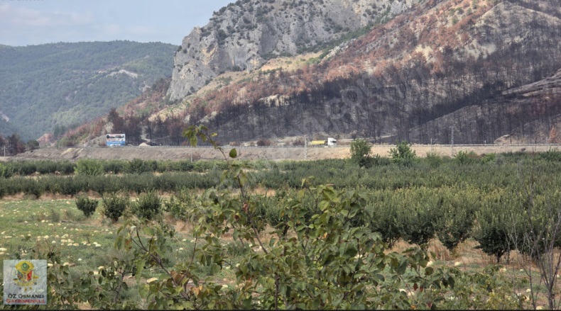 Selçik Köyü Osmaneli Satılık Tarla |  2342M2 1.500.000Tl Resim-1