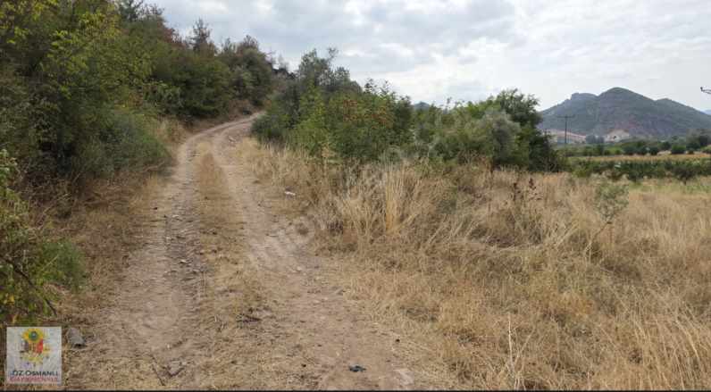 Selçikte Köye Merkeze Yakın Acil Satılık Tarla Arazi Osmaneli Selçik Köyü