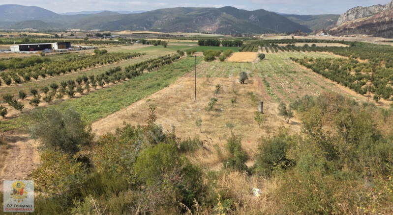 Selçik Köyü Osmaneli Satılık Tarla |  2342M2 1.500.000Tl Resim-4