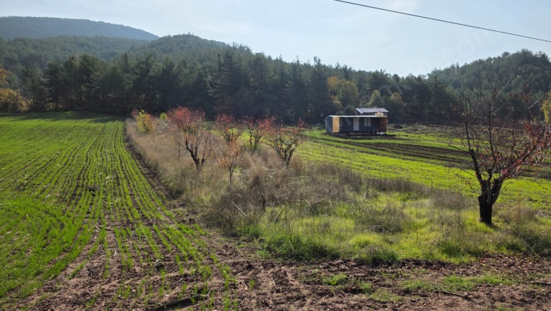 Dereli Köyü Gölpazarı Satılık Bağ |  800M2 800.000Tl Resim-4