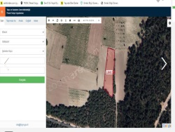 Gölpazarı Şahinler Köyü Satılık Tarla 2845 M2