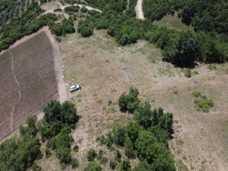 Osmaneli Oğulpaşa Mah-Oğulpaşa Köyü. Satılık Tarla 175000 M2